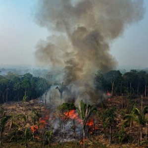 Suivi environnemental et analyse des impacts du changement c…
