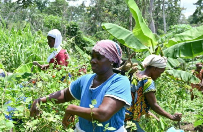 Genre, autonomisation économique et transformations des rapp…