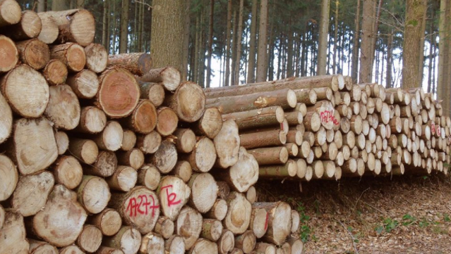 Environnement, ressources naturelles et gouvernance particip…