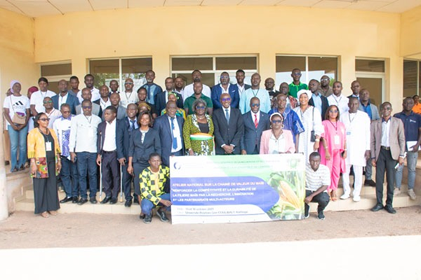 Maïs : la recherche et les acteurs de terrain unis pour transformer la filière