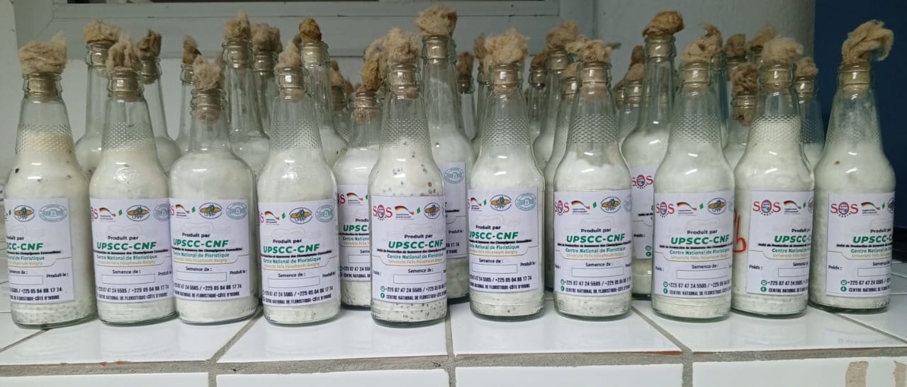 Semences de Champignons Comestibles du CNF : Qualité Scienti…