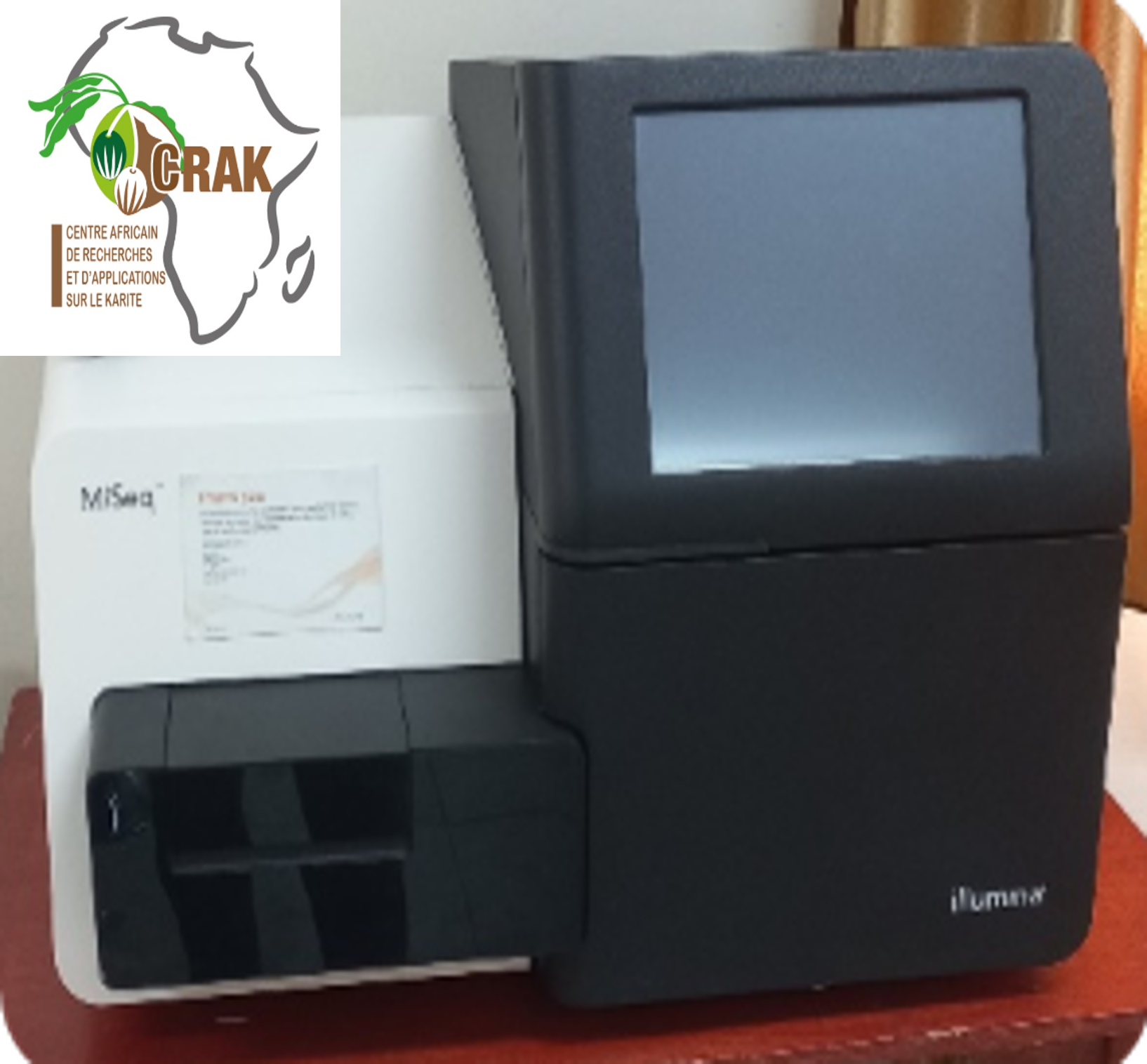 Biologie moléculaire et génomique : séquençage et innovation scientifique