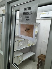 Évaluation scientifique et validation des innovations de lut…